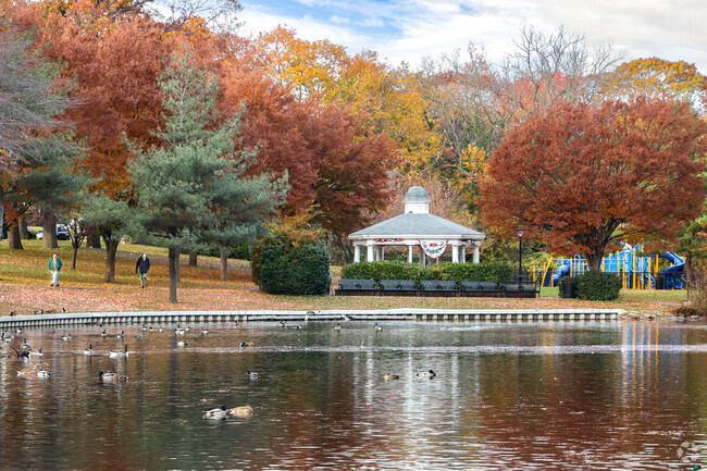 Halls Pond Park in W Hempstead is a very peaceful park.