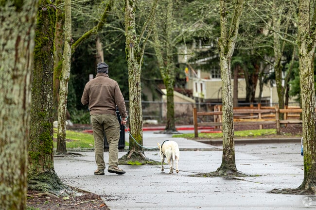 Locals in Covington can enjoy wide walkways for long walks with their dogs.