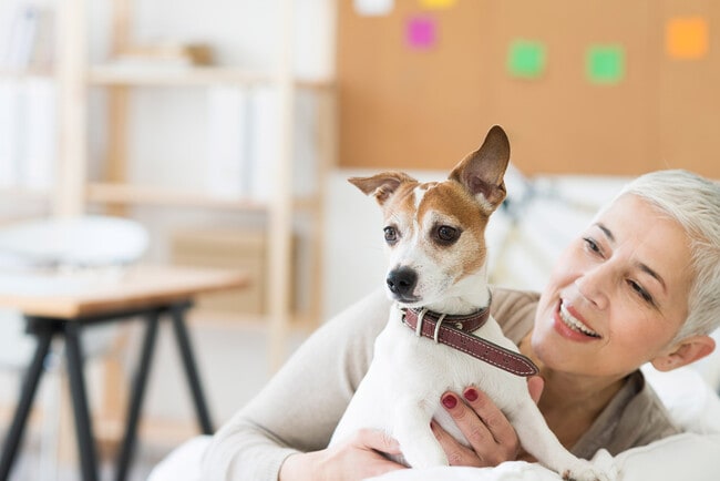 Sage Mesa 55+ Active Adult, Mesa, AZ 85209 - photo 2