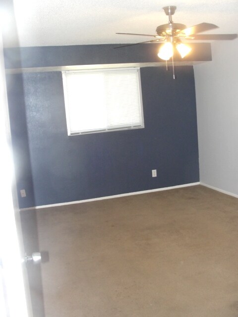 4595 N 17th Ave, Phoenix, AZ 85015 - photo 5