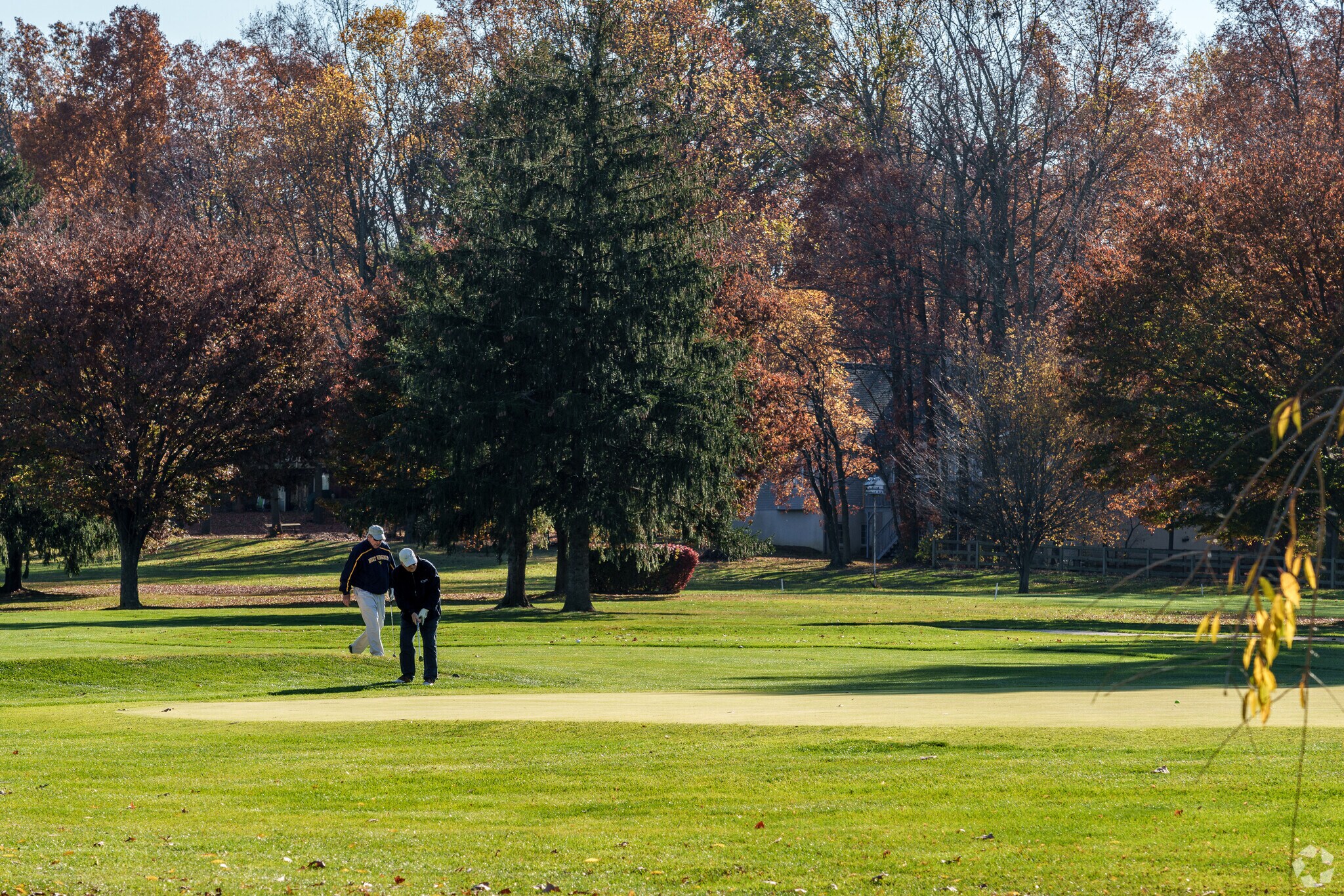 Golfers in The Buck concentrate on a critical putt at Tanglewood Golf Club.