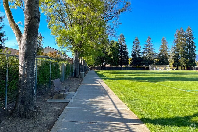 Shady walkways meet sunny green space near Calabazas Creek at Creekside Park, Downtown Cupertino