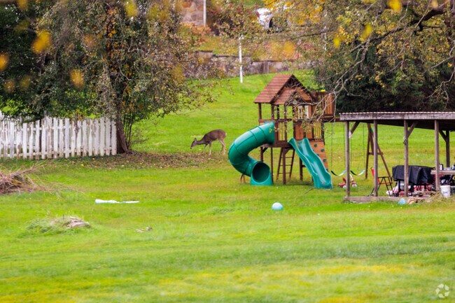 Locals and wildlife coexist in the rural neighborhood of Luzerne Township.