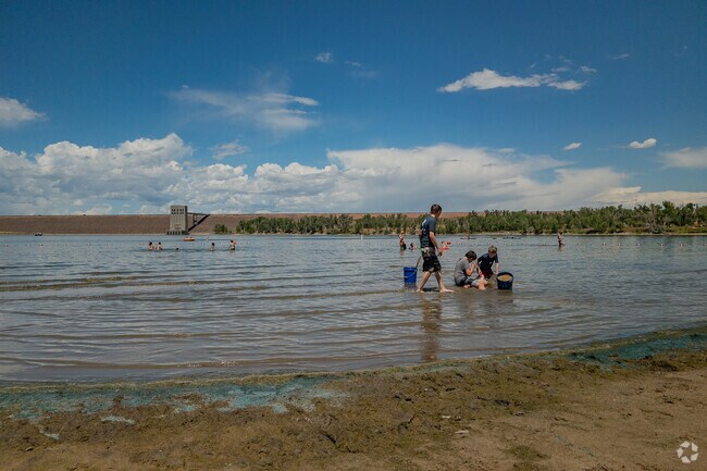 The shoreline at Cherry Creek State Park offers scenic views and space to swim or sunbathe.