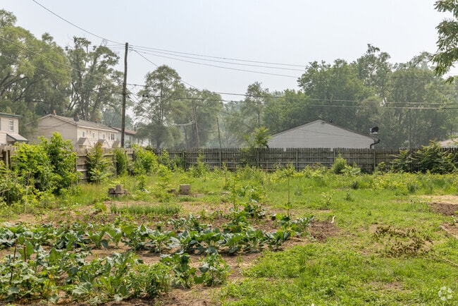 Westland Christian Academy's vegetable garden in the city of Westland.