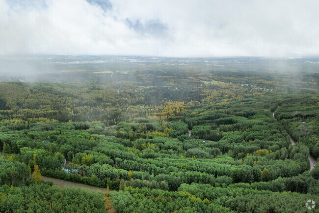 Feel like you’re in like the middle of nowhere but 5 only minutes from town in Farmers Loop.