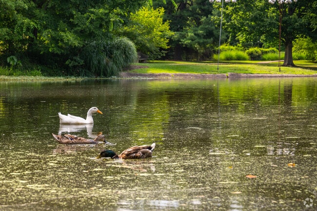 Memphis Lake in Chickasaw Gardens is a peaceful pond with a walking path and benches.