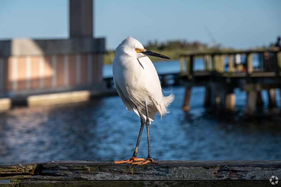 NH_Bouchelle Island_540944_P2_v2_MB_071724