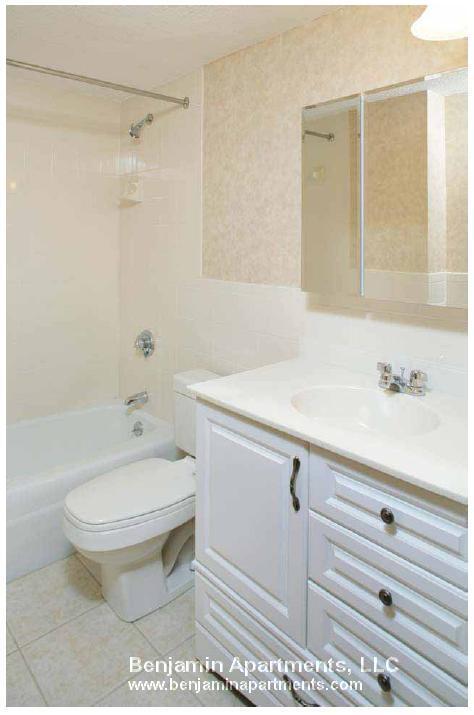 15 Allen St unit 8, Arlington, MA 02474 - photo 5