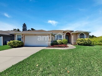 8452 Fenholloway Ct, Trinity, FL 34655