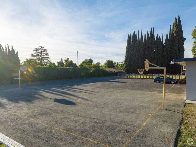 Basketball court