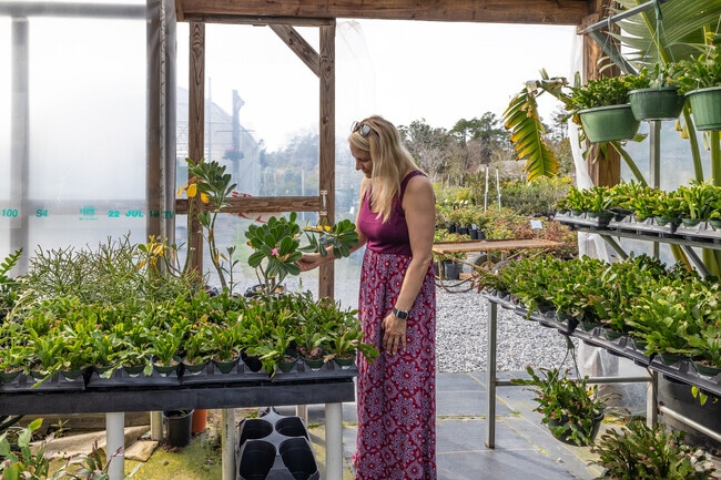 Visitors browse plants and garden décor at Pensacola Garden & Seed in Beulah.