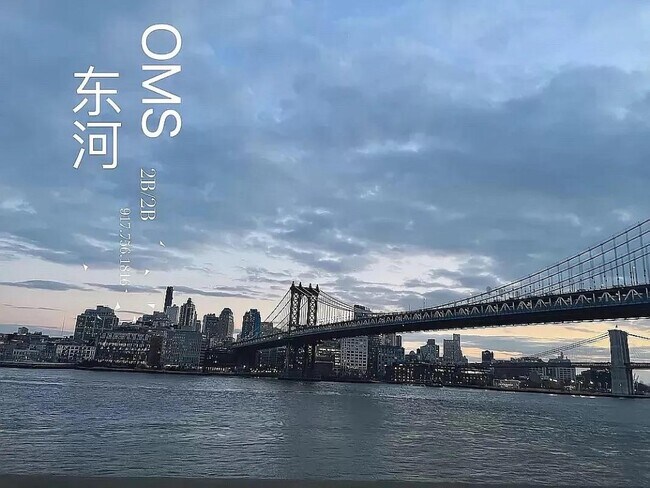 One Manhattan Square unit 23F, New York, NY 10002 - photo 4