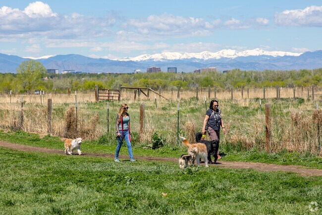 Cherry Creek Dog Off Leash Area is a widespread dog park with creeks, trails and room to run.