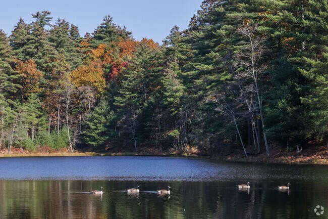 Enjoy a picnic as the ducks swim by at Brimfield State Forest.