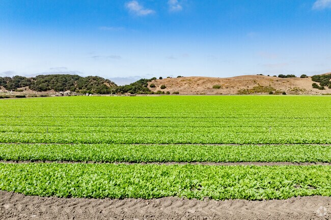Aromas has economic roots in farming and greenhouse production, which are key drivers of its rural prosperity.