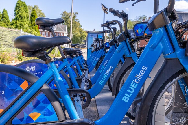 Blue Bikes are a fast and convenient way to navigate around Washington Park.