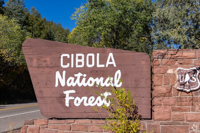 The Cibola National Forest near Cedar Grove has miles of walking trails.