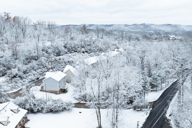Fresh snow covers Pea Ridge, highlighting its quiet streets and natural surroundings.