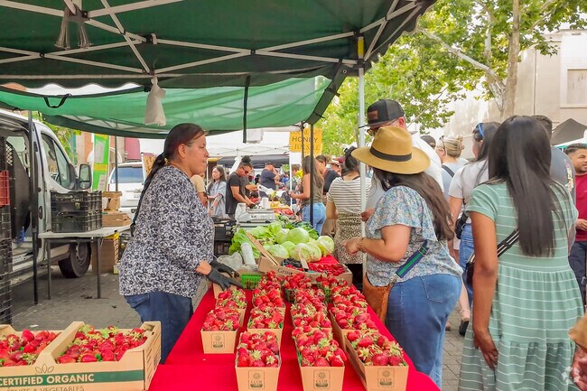 The City of Lodi supports its farming community.