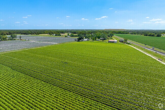 A significant portion of Lithia’s land remains dedicated to agriculture such has strawberries.