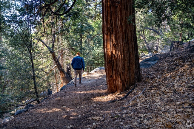 Explore the trails at Mount San Jacinto State Park in Mountain Center near River.