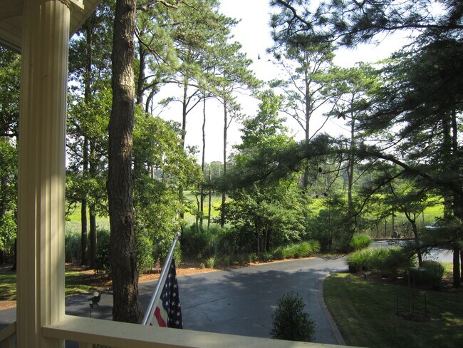 View from Front Porch