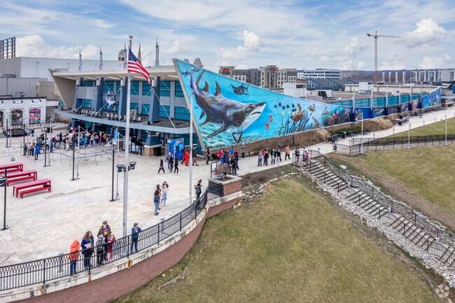 Newport Aquarium is home to thousands of animals in a million gallons of water in Newport, KY.