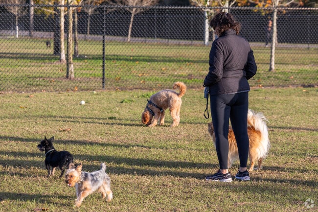 There are several areas near Lake Magdalene to take the dogs for a stroll.