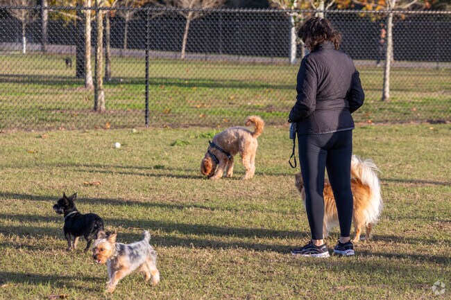 There are several areas near Lake Magdalene to take the dogs for a stroll.