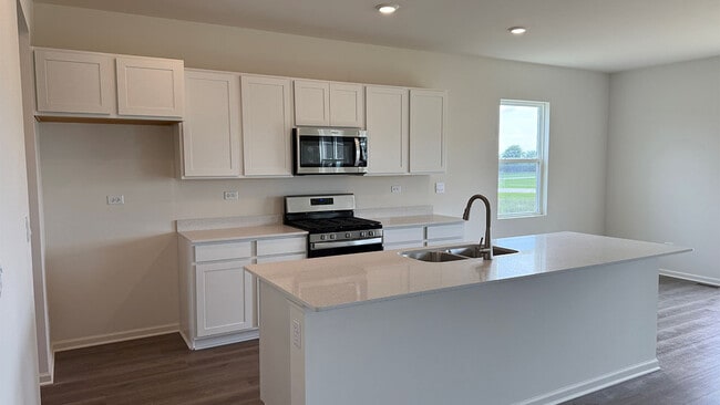 26120 S Castle Blvd, Manhattan, IL 60442 - photo 4