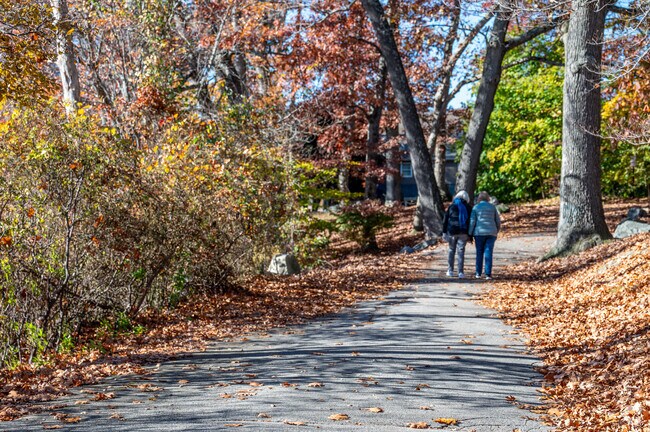 Walk through the trails of Meshanticut State Park in Garden Hills.