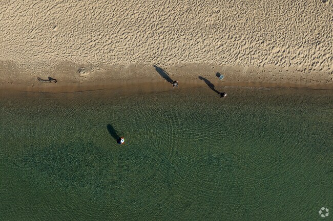 Rockhounds look for the famous Leland Blue stone at North Beach.