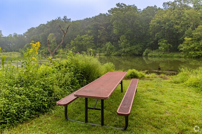 George Owens Nature Park is a great place for a picnic.