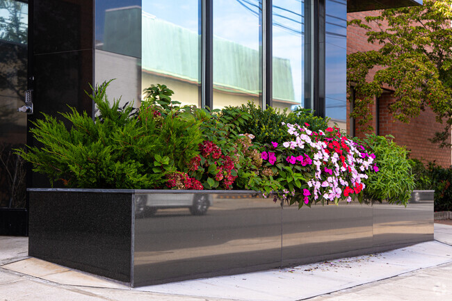 Mesivta Ateres Yaakov is a stalwart of the environment and sustainability.