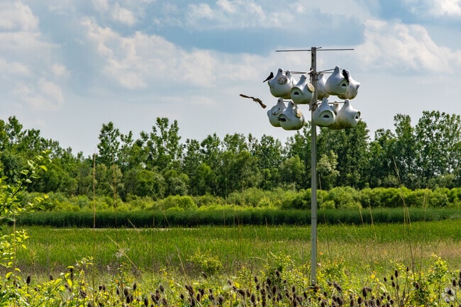 Pickerington Ponds Metro Park is one of Ohio's best birdwatching destinations.