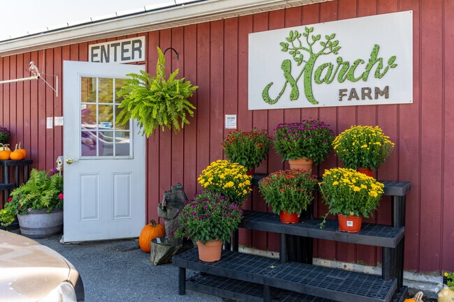 Bethlehem’s agricultural roots are celebrated at local markets and fairs.