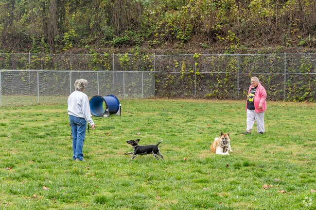 Central Bark is a large dog park providing a playground and shower to wash your pet.