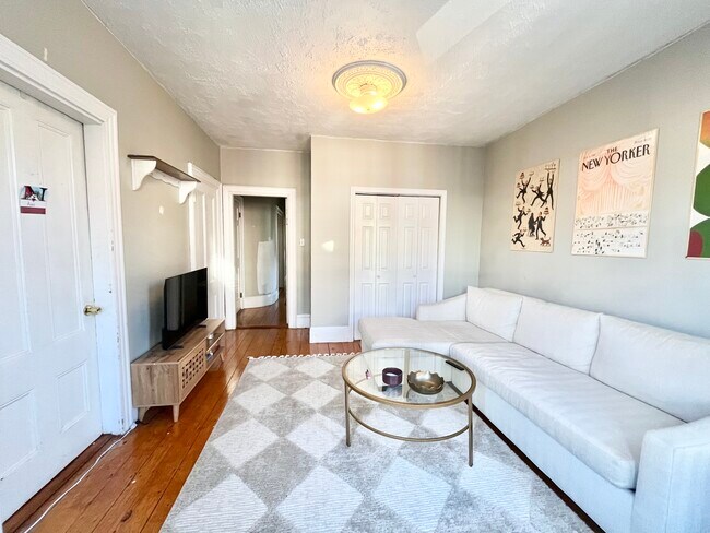 44 Delle Ave unit 2, Roxbury Crossing, MA 02120 - photo 3