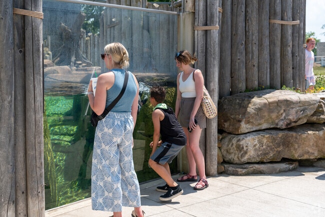 Columbian Park Zoo is an affordable attraction for families in Lafayette with lots of animals.