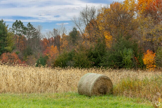 Rural life in Independence, MN means a slower pace and peace and quiet.