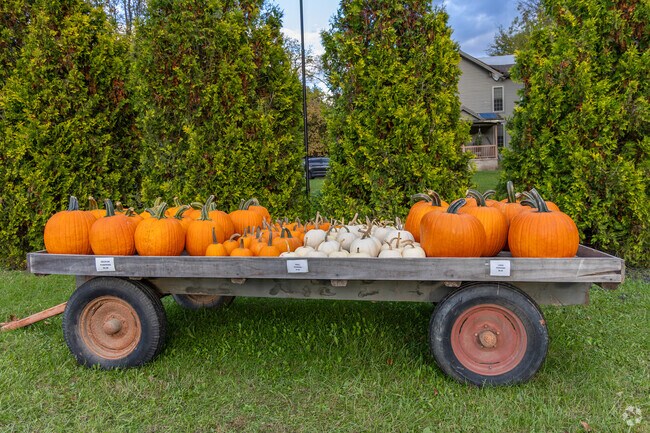 There are many farms and farm stands around Mill Creek.