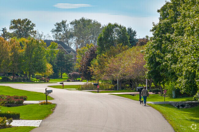 Take your dog for a long walk in one of the many peaceful neighborhoods in Novak Park.