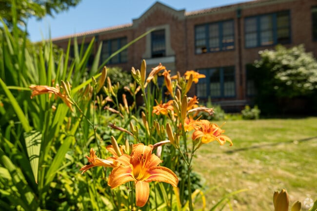 flower bed surrounding the school to add some natural decorations.