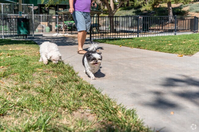 Canyon Country Park is dog friendly for people looking to take the pooches for a walk in Canyon Country.
