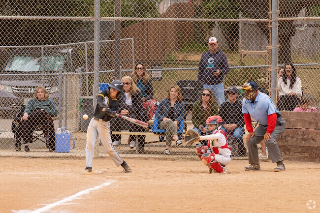 Little League teams from around the region play their annual tournament in Throop Park.