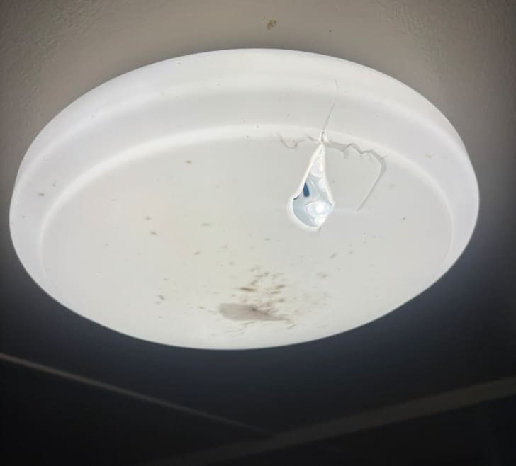 20048 Ada Ln, New Caney, TX 77357 - photo 1