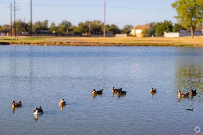 Look at the wildlife while on a relaxing walk through Bayless-Atkins.