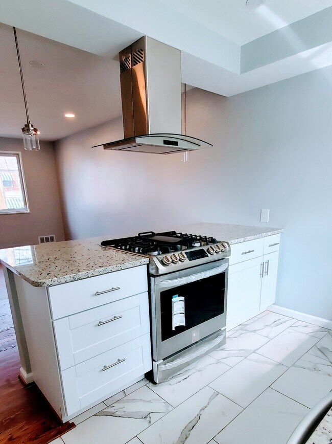 Island stove w/ vent