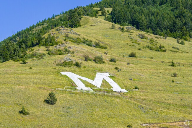 The University of Montana 